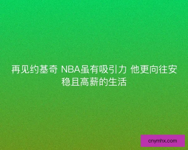 再见约基奇 NBA虽有吸引力 他更向往安稳且高薪的生活