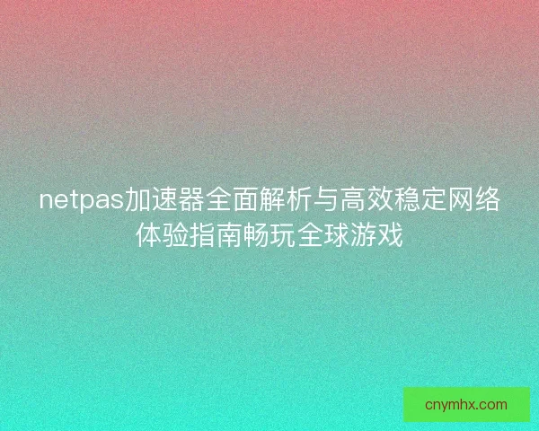 netpas加速器全面解析与高效稳定网络体验指南畅玩全球游戏