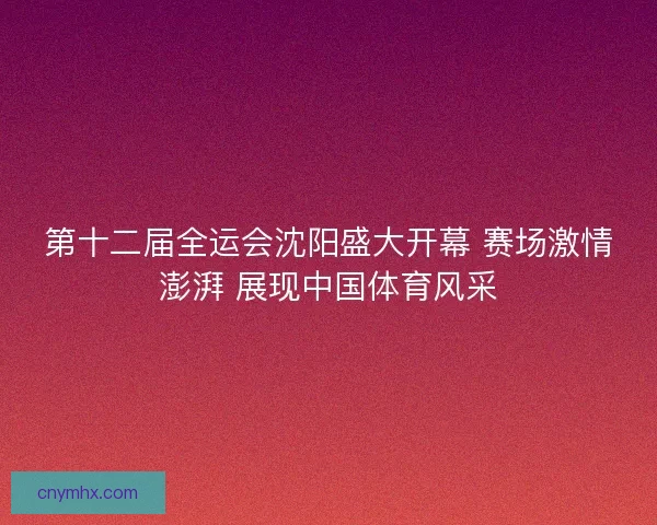 第十二届全运会沈阳盛大开幕 赛场激情澎湃 展现中国体育风采